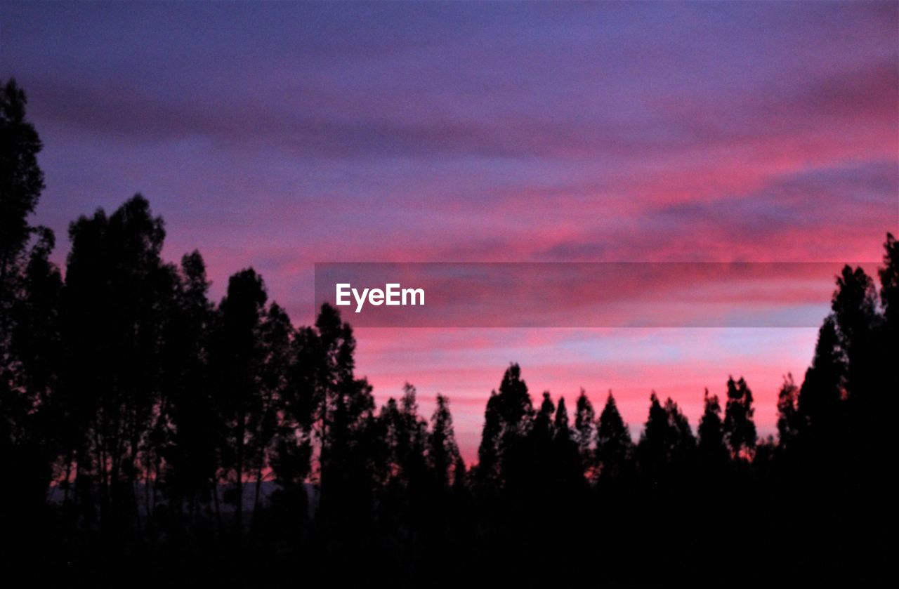 SILHOUETTE OF TREES AND LANDSCAPE AGAINST SKY