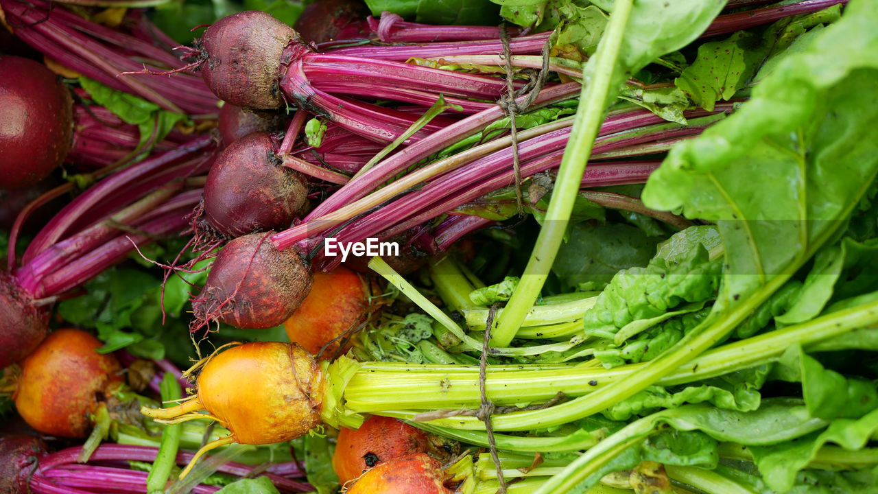 full frame shot of vegetable