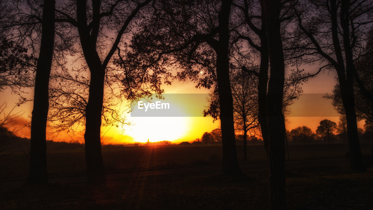 SILHOUETTE TREES ON LANDSCAPE AGAINST SUNSET SKY