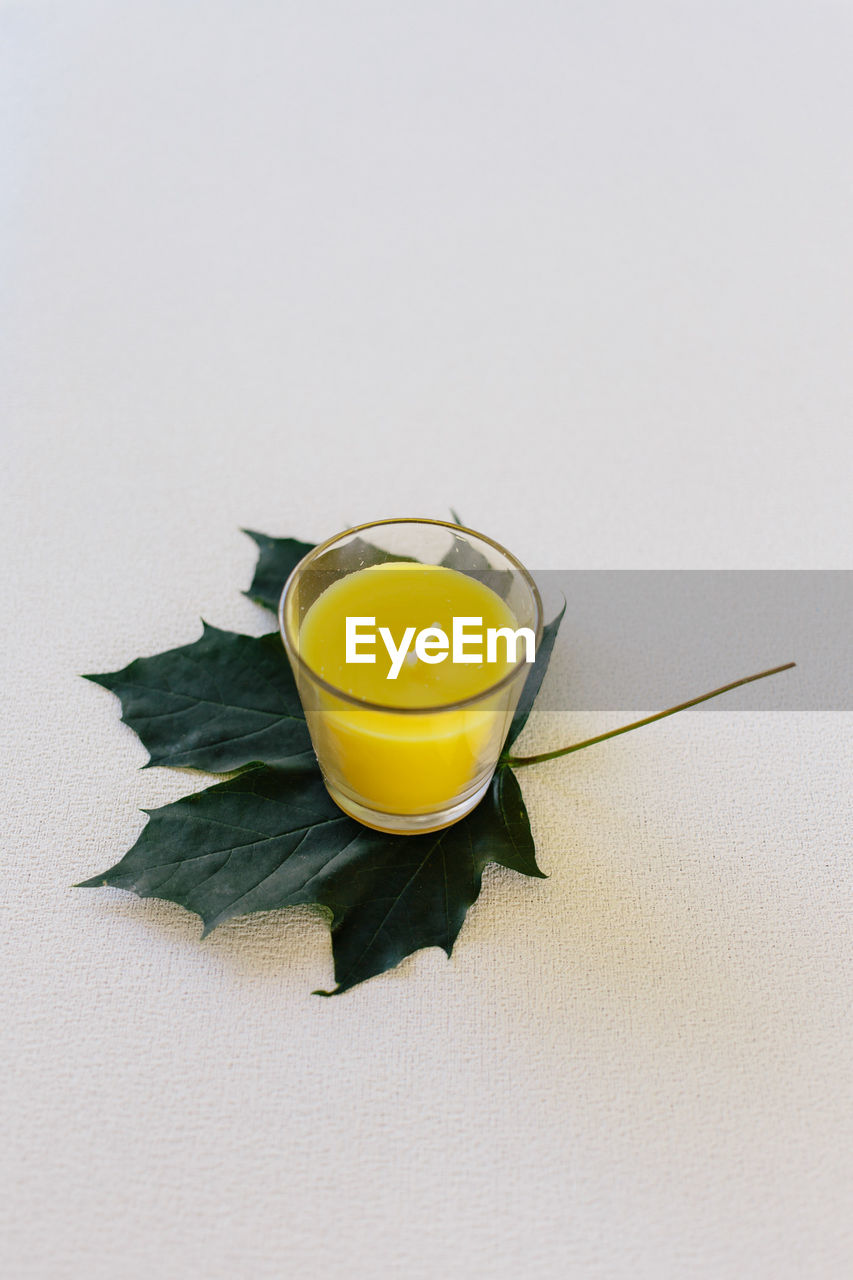 High angle view of tea light candle and leaf on white background