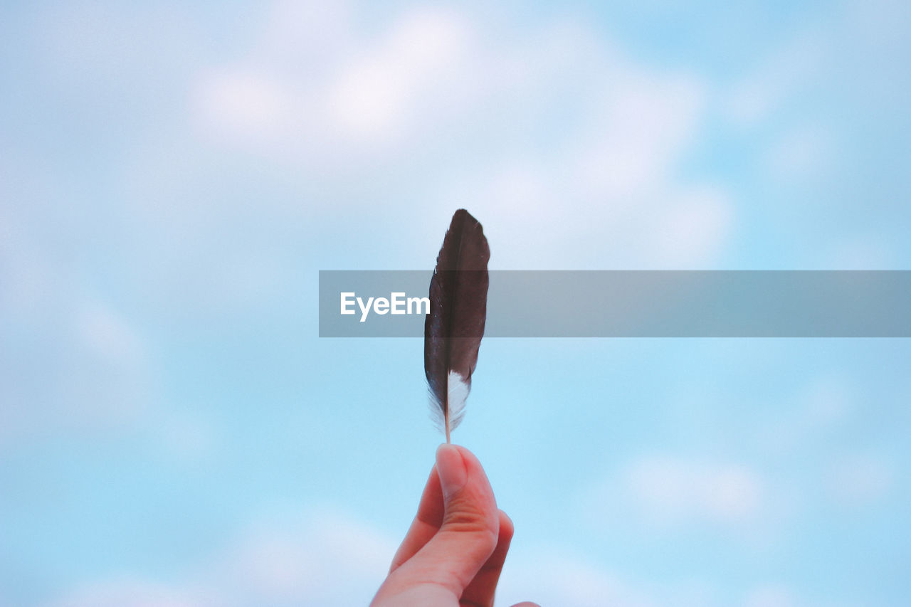 Close-up of hand holding feather against sky