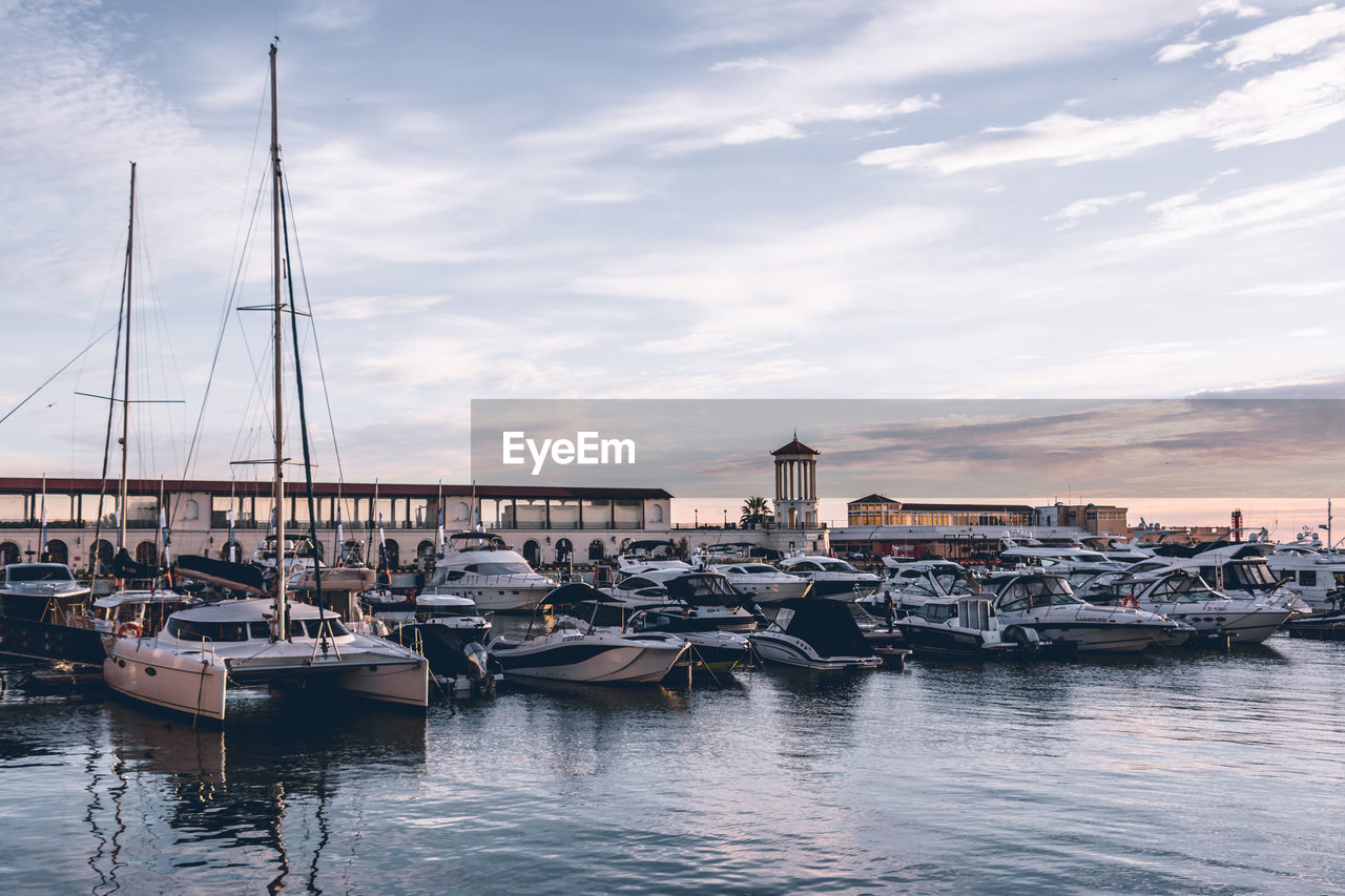 Sailboats moored in harbor