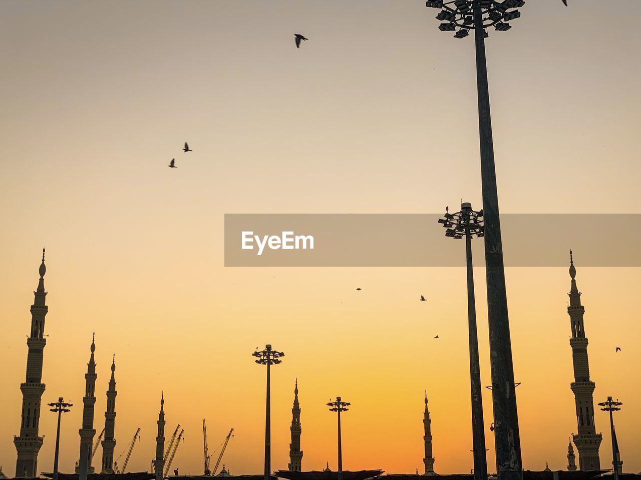 Low angle view of birds flying against sky during sunset