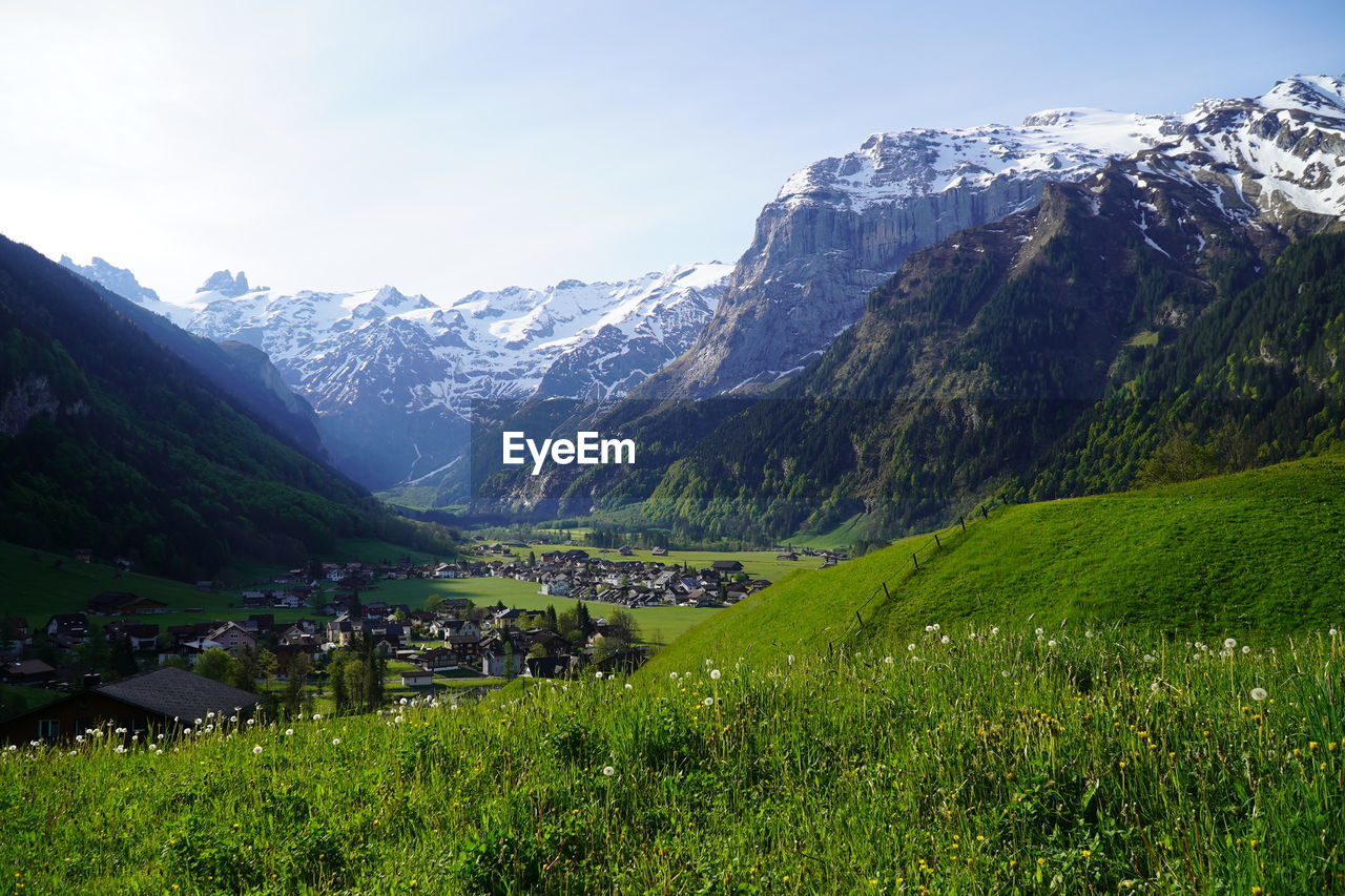 SCENIC VIEW OF GREEN LANDSCAPE AGAINST SKY