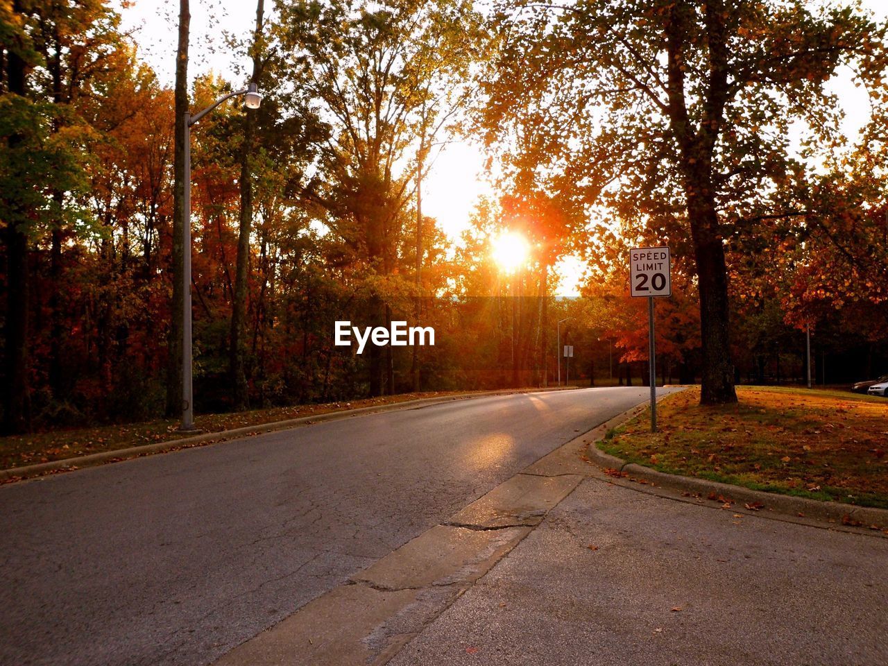 Street amidst trees during sunset