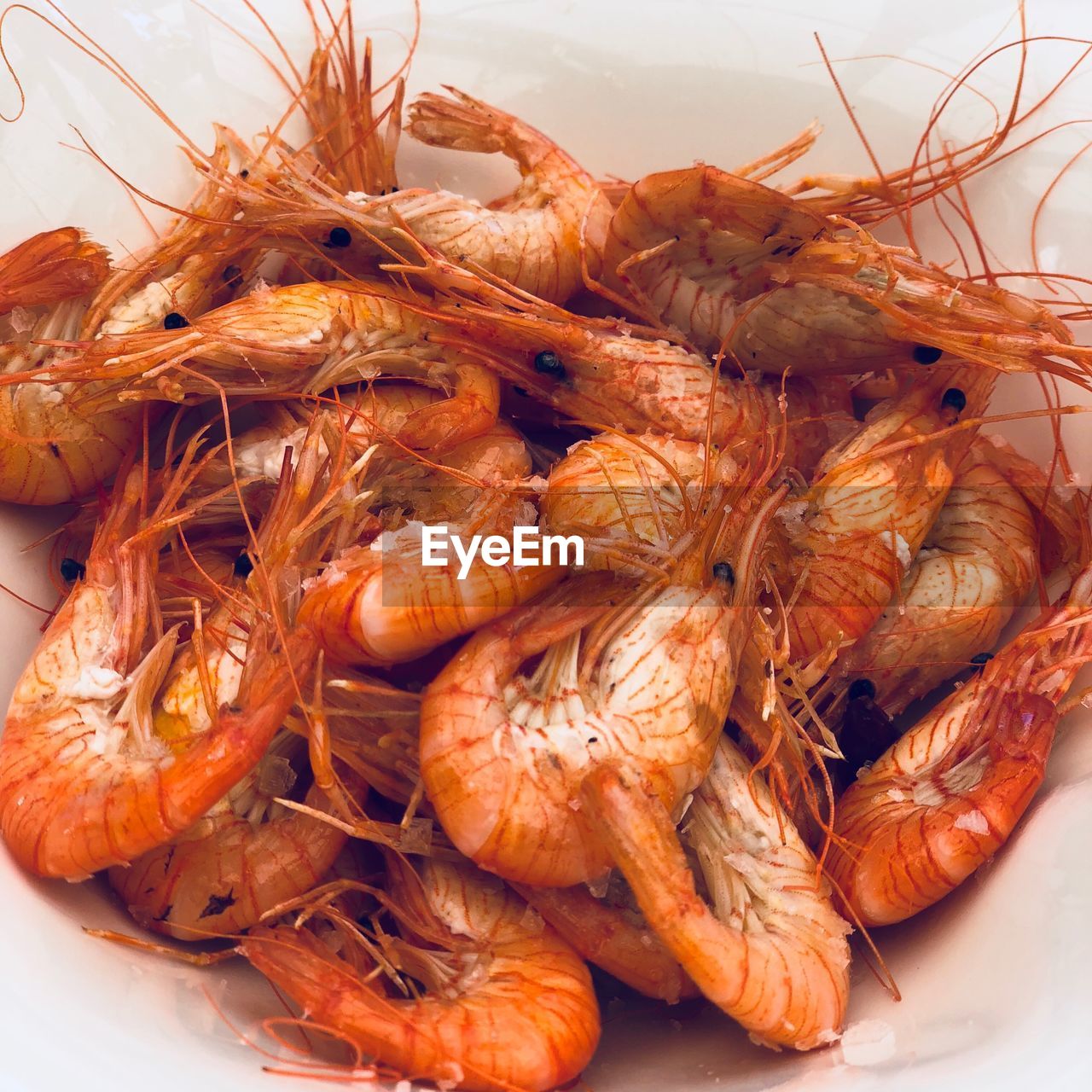 HIGH ANGLE VIEW OF PRAWNS IN PLATE