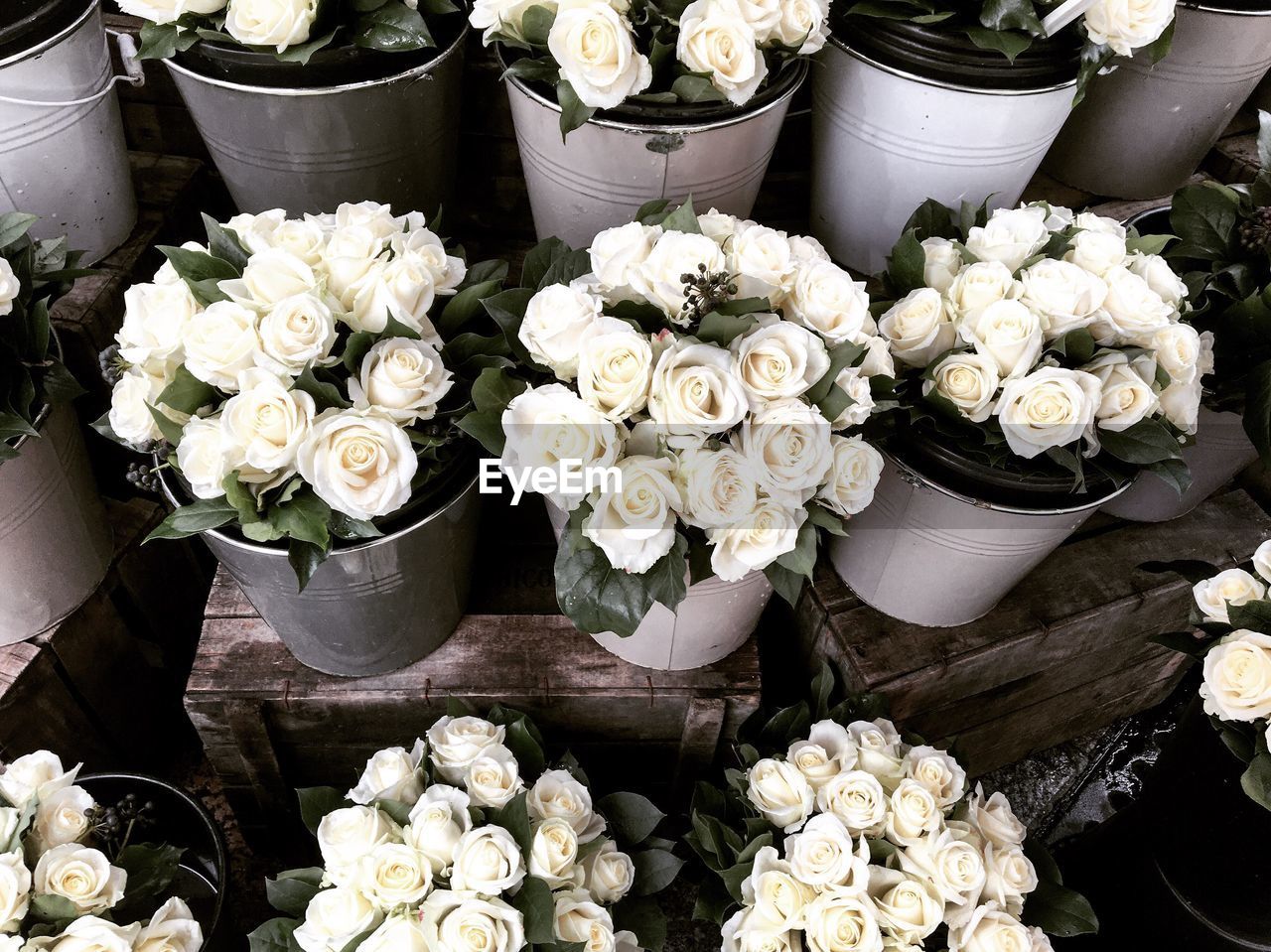 Close-up of bouquet of flowers