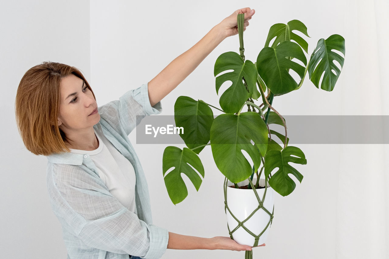 Handmade green macrame plant hangers with potted plant are hanging on woman hand.  monstera plant
