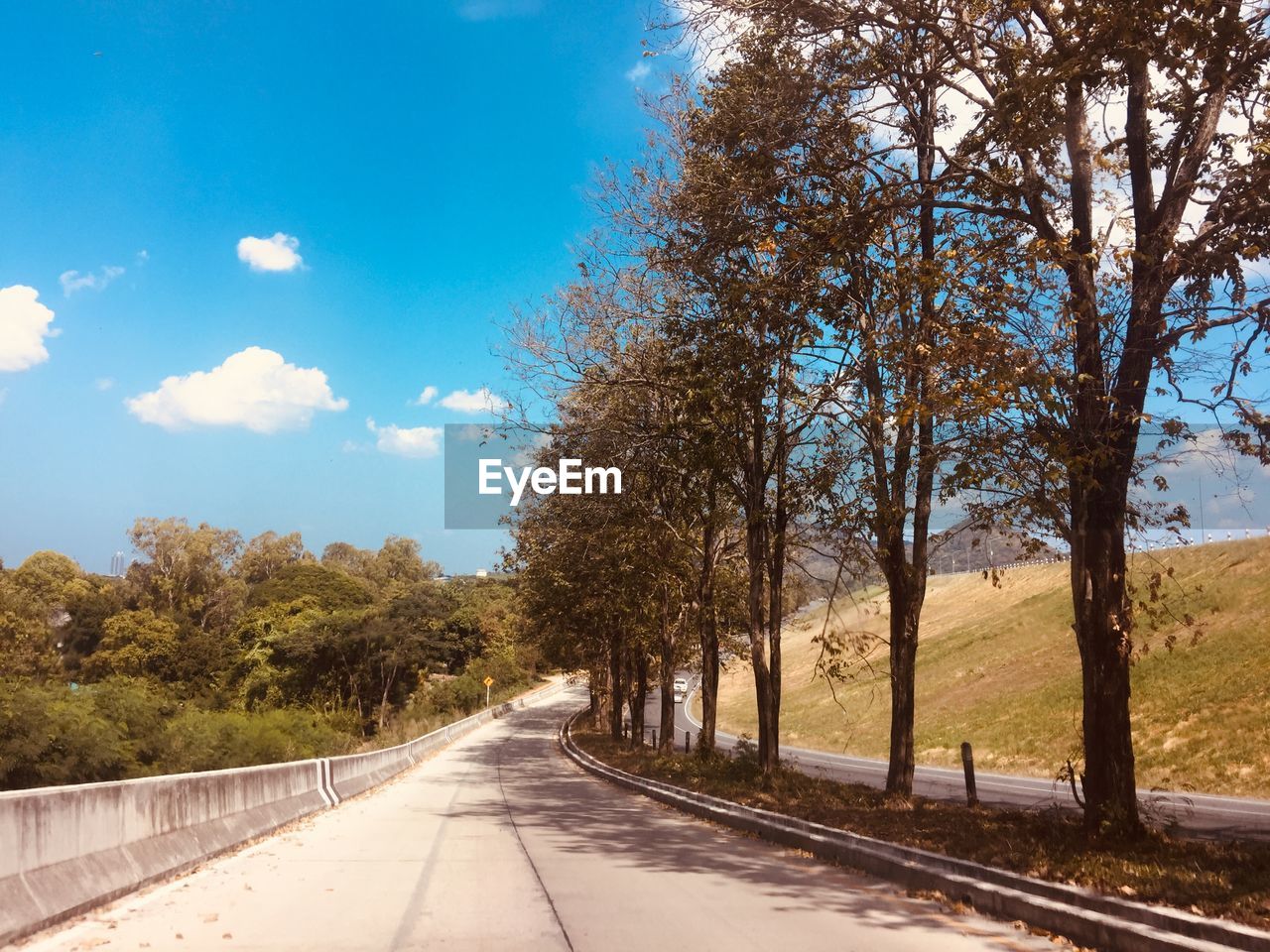 Empty road by trees against sky