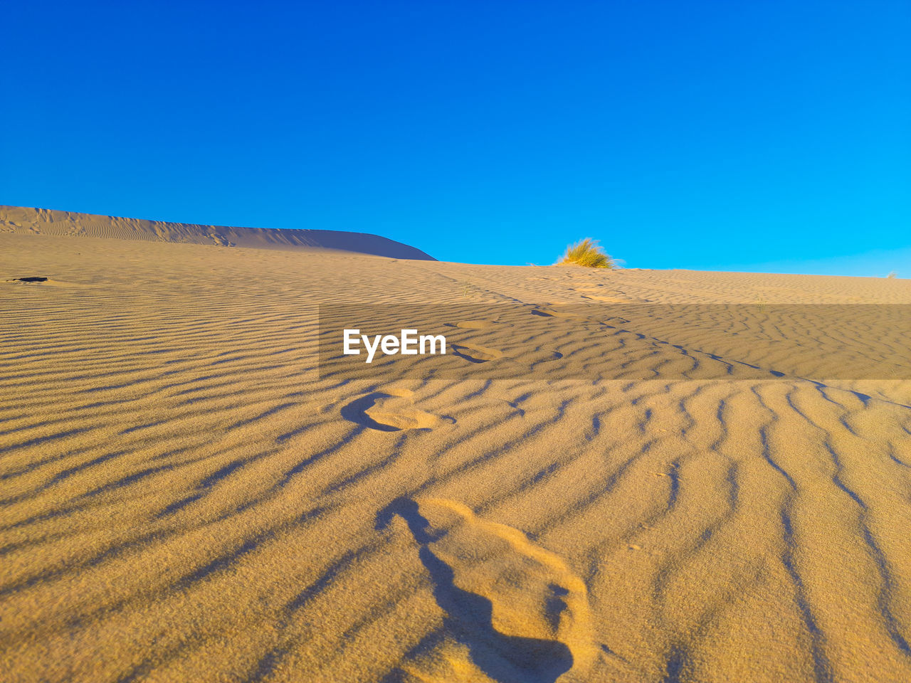 Tire tracks in sahara desert of algeria 