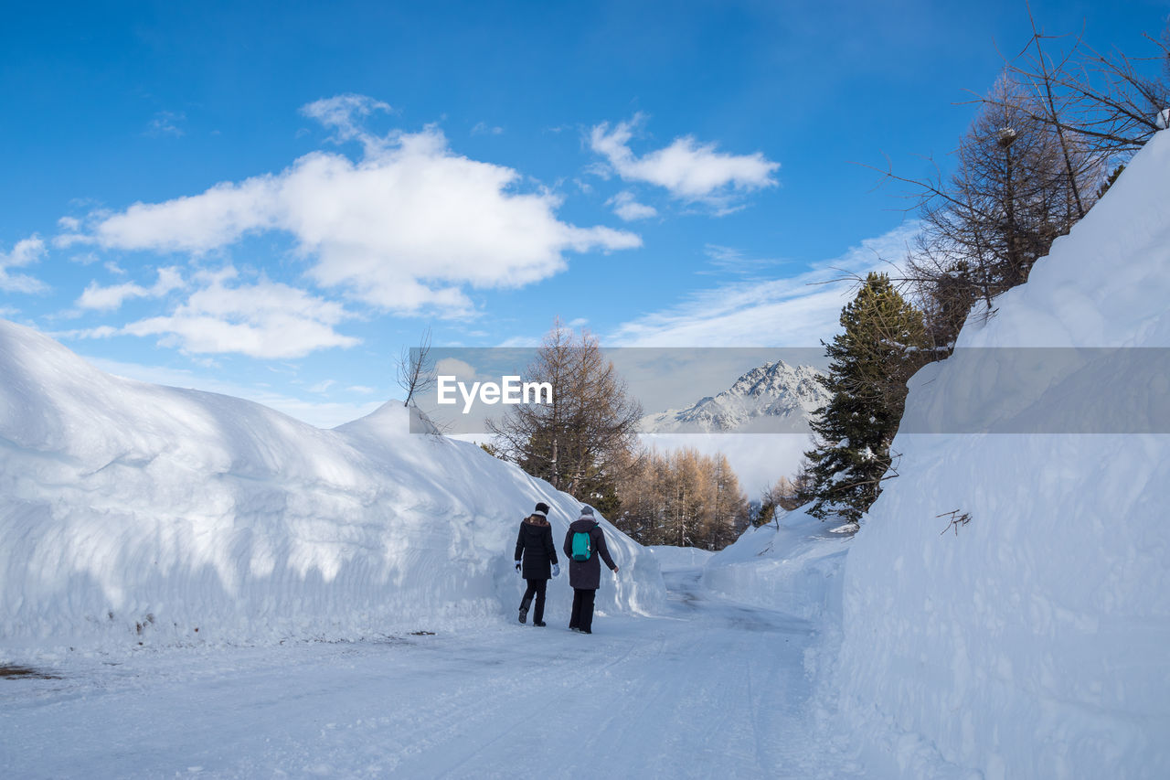 Rear view of friends walking on snow covered landscape