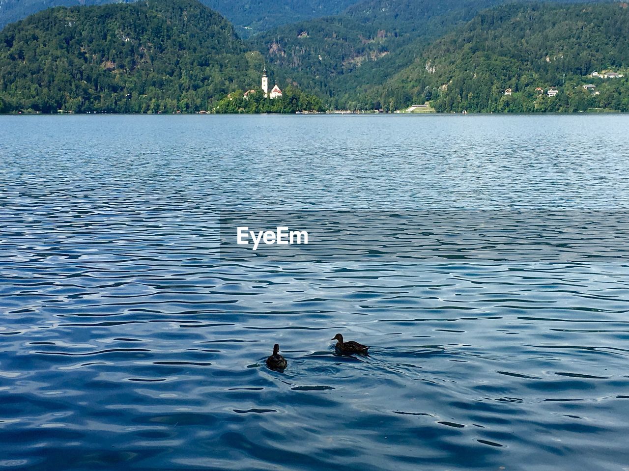 VIEW OF SWIMMING POOL IN SEA