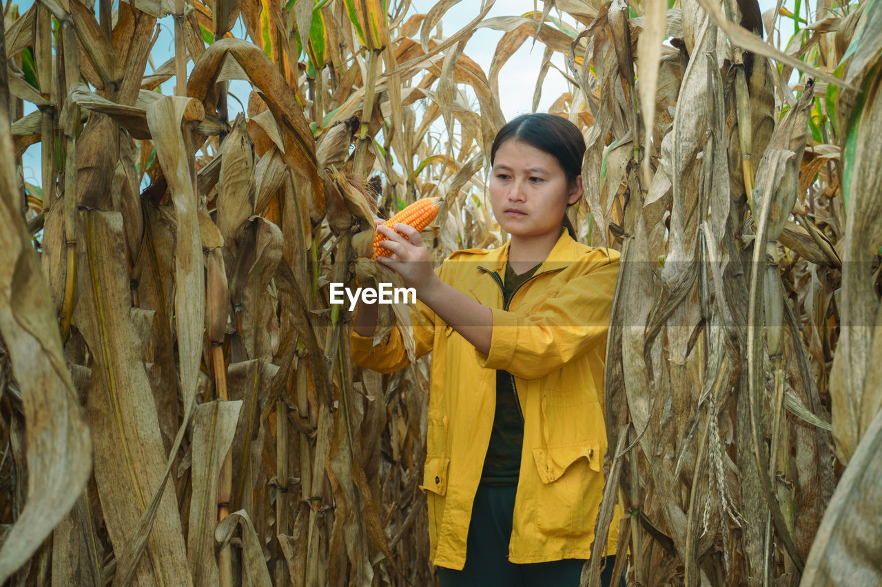 BEAUTIFUL YOUNG WOMAN STANDING IN THE FARM