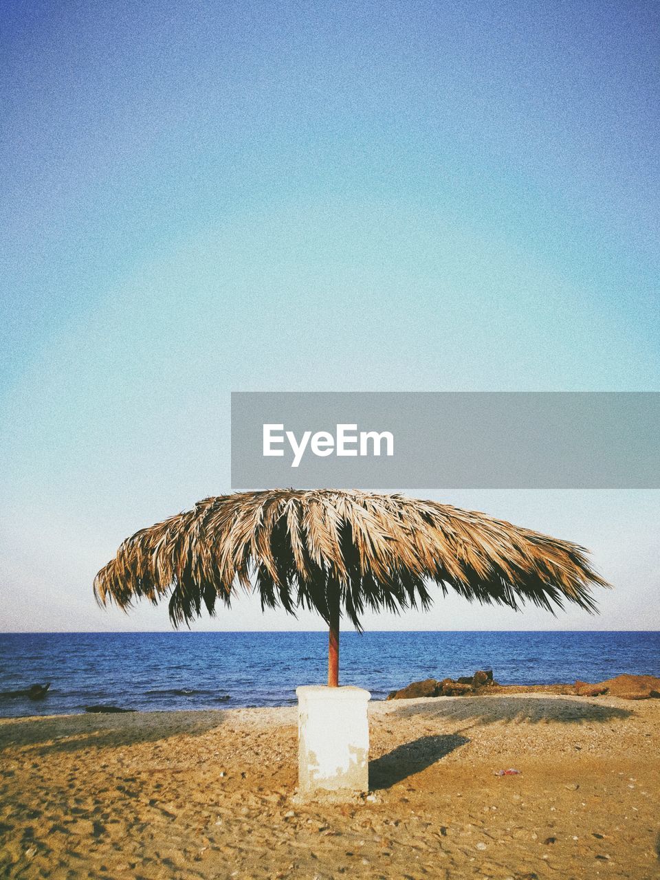 COCONUT PALM TREE ON BEACH AGAINST CLEAR SKY