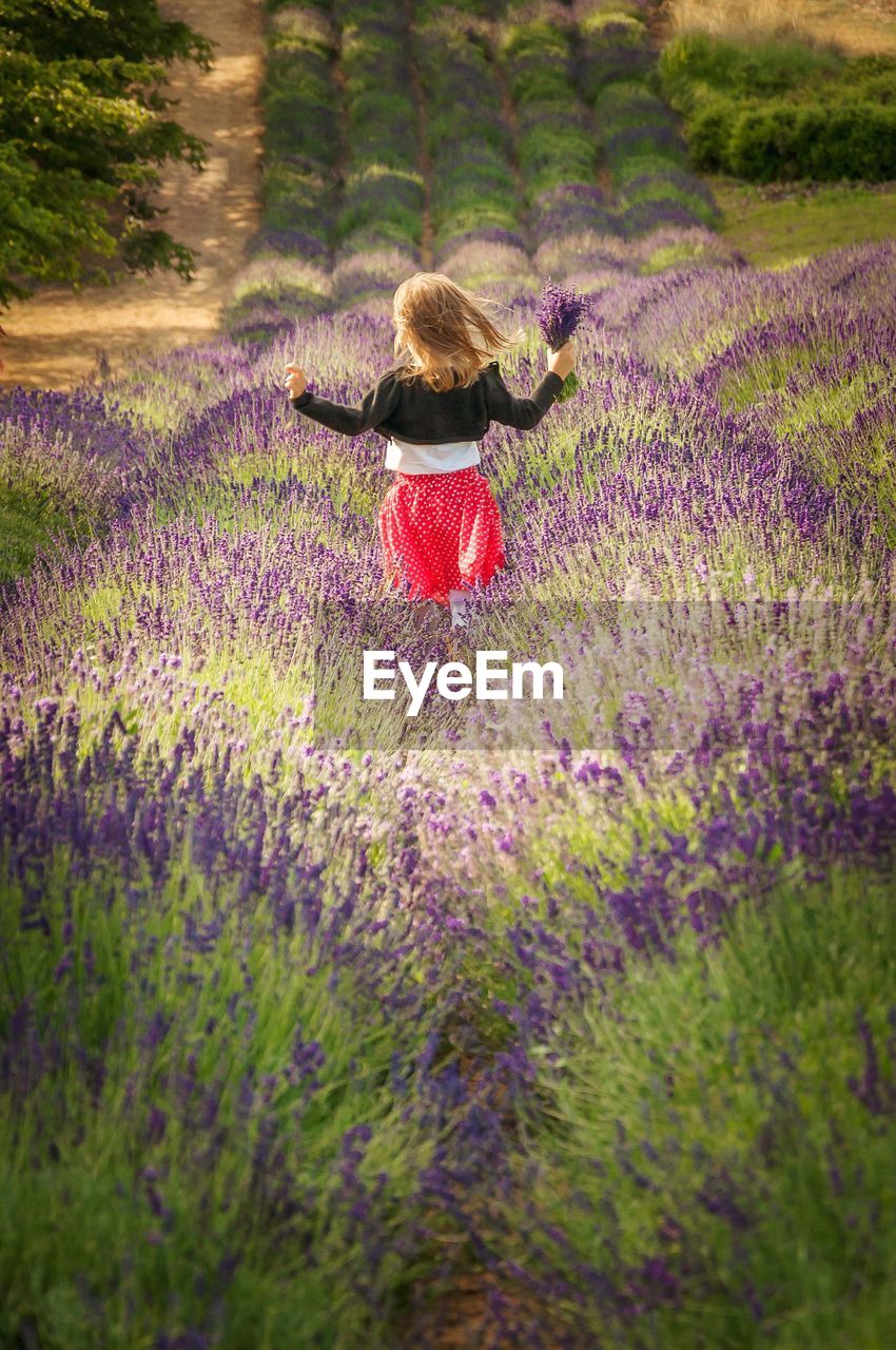 Little girl running in lavender field