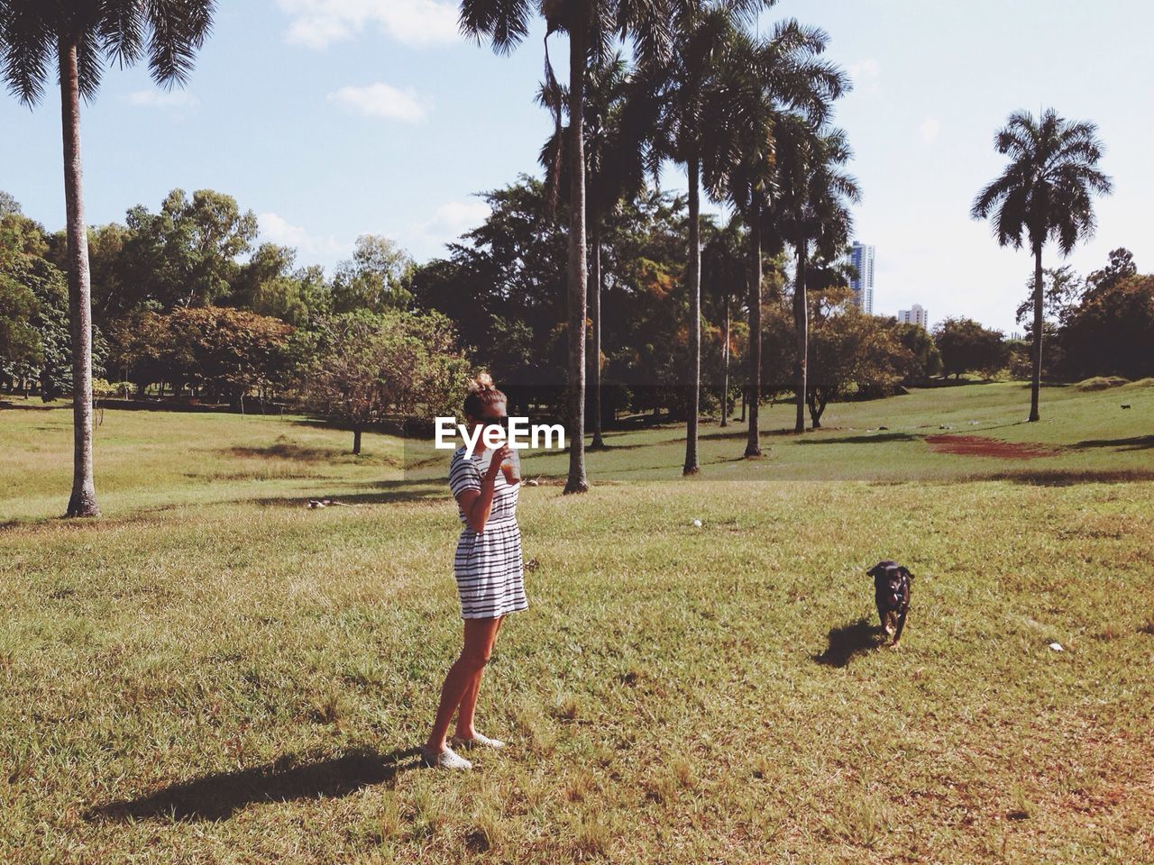 Full length of woman having drink while standing on grassy field with dog