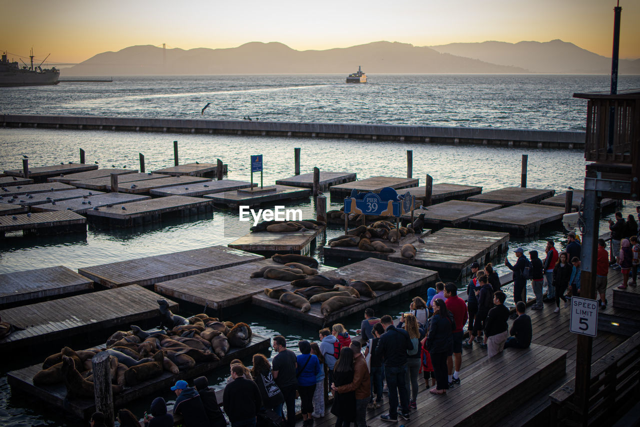 High angle view of people at beach during sunset