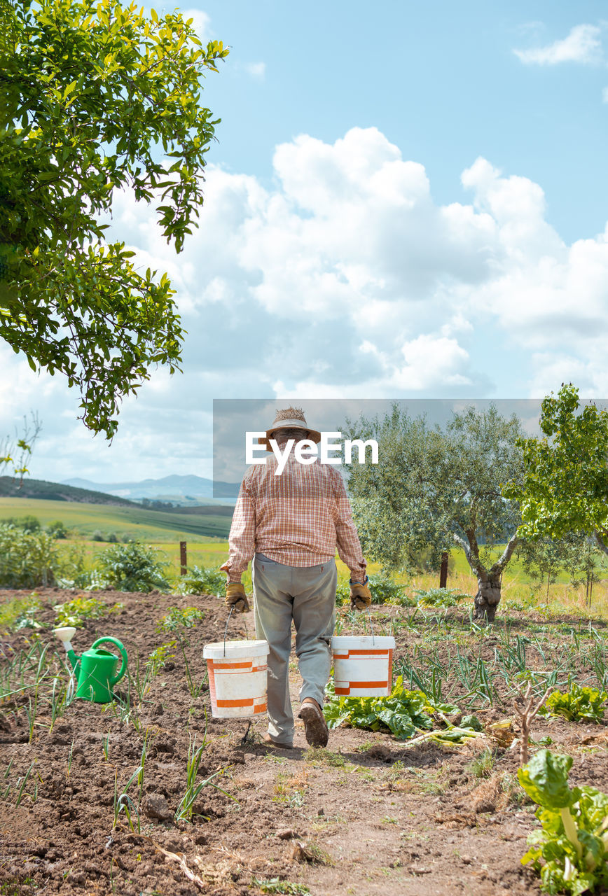 REAR VIEW OF MAN WORKING ON AGRICULTURAL FIELD