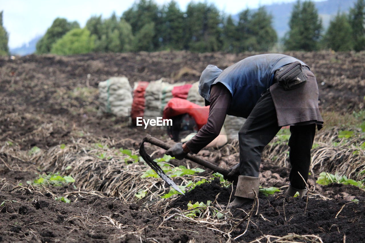 MAN WORKING IN FIELD