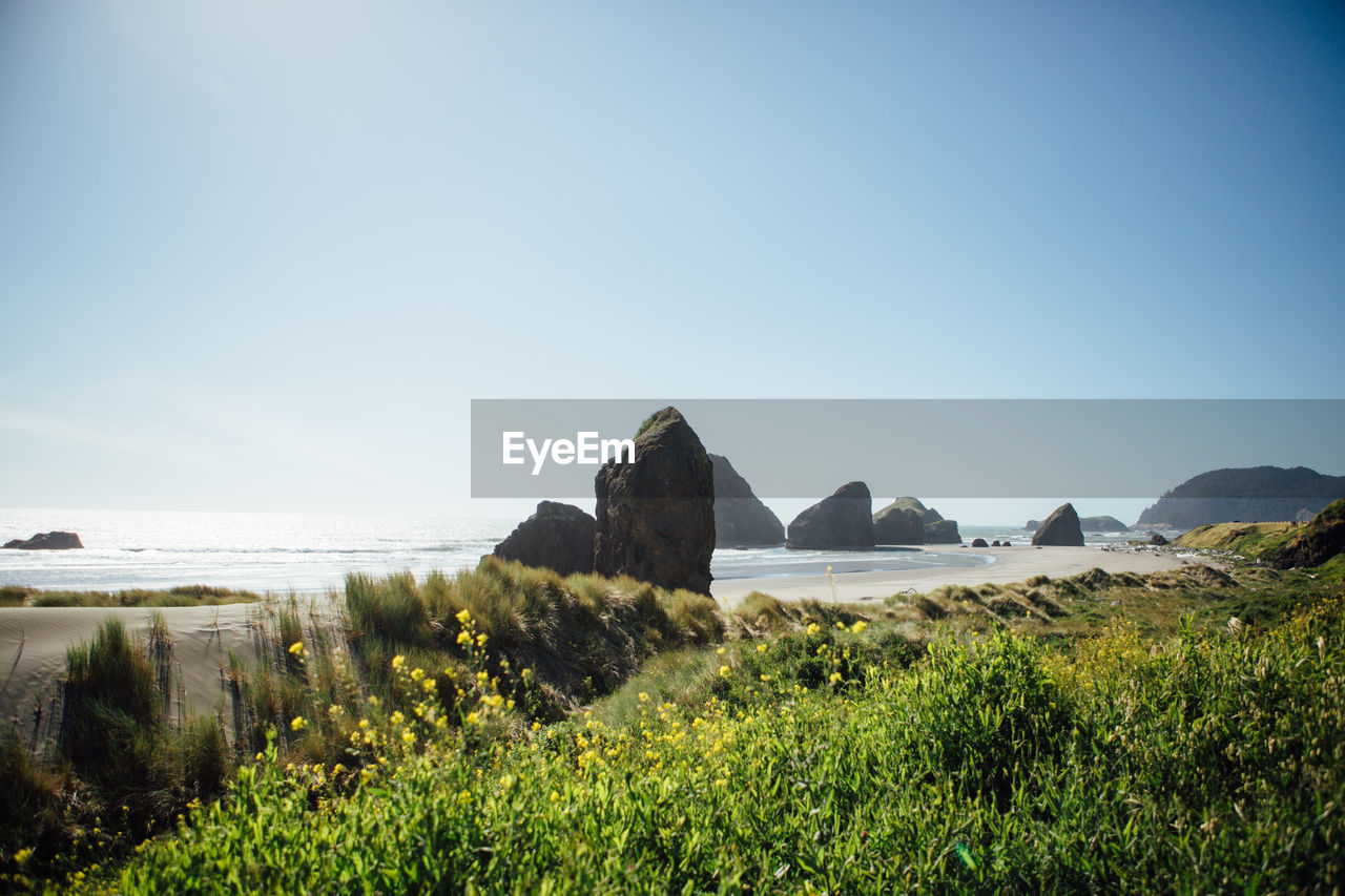 Scenic view of sea against clear sky