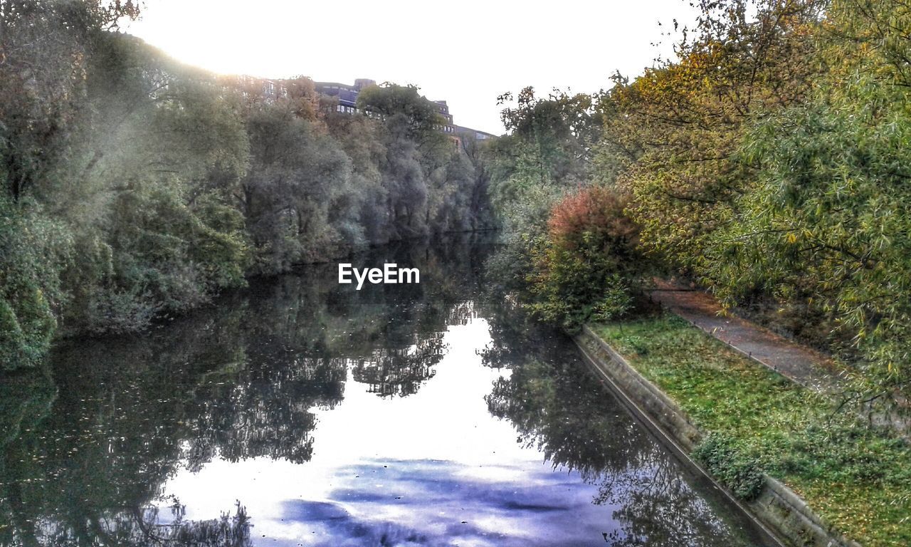 TREES REFLECTING IN WATER