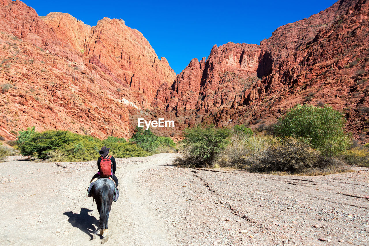 Rear view of person riding horse in mountains