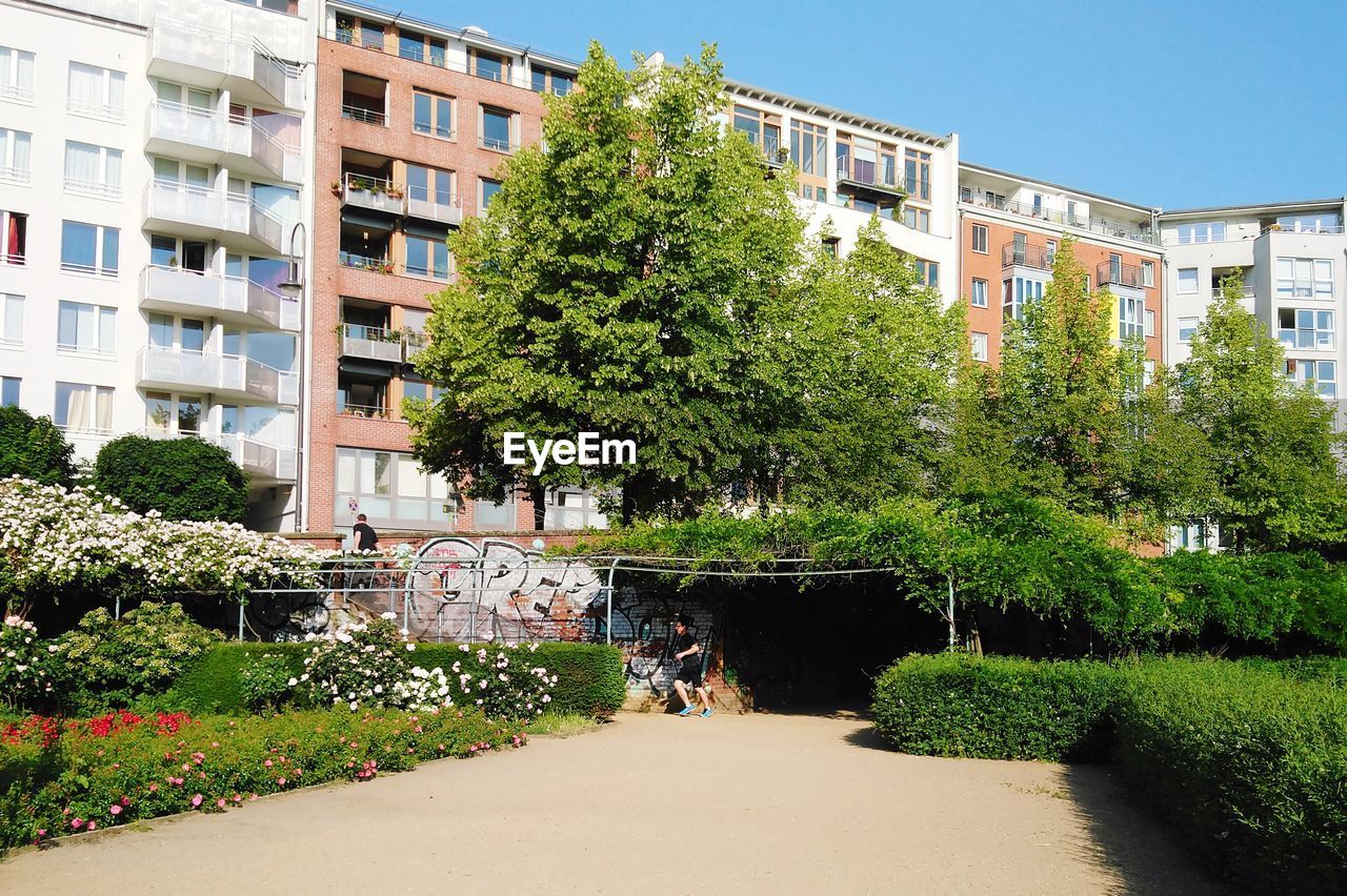 TREES AND PLANTS GROWING BY BUILDING