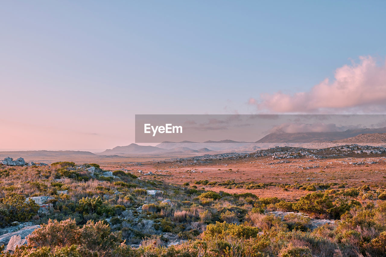 scenic view of landscape against clear sky during sunset