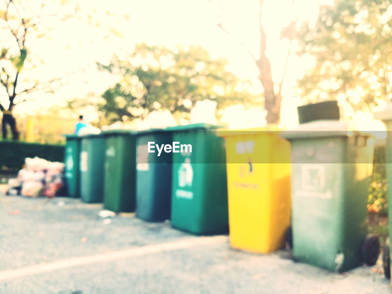 CLOSE-UP OF YELLOW OBJECTS AGAINST TREES