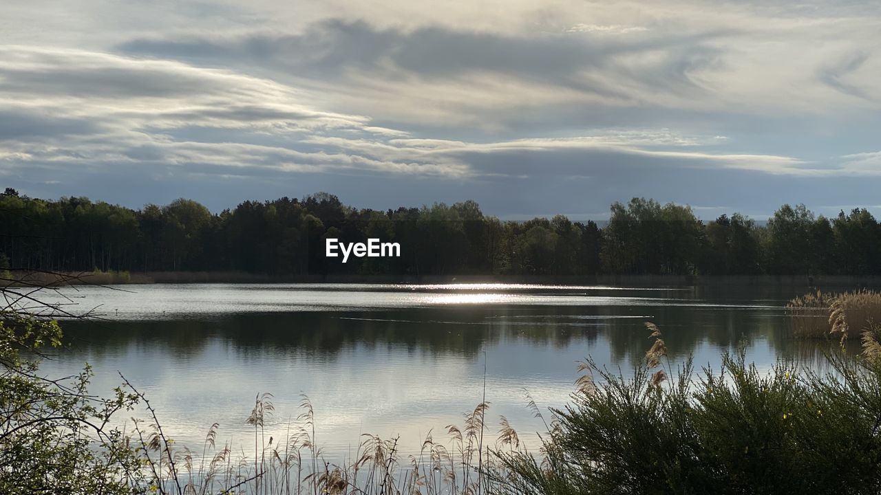 SCENIC VIEW OF LAKE AGAINST SKY AT FOREST