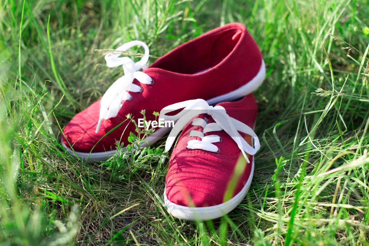 Close-up of red shoes on grassy field