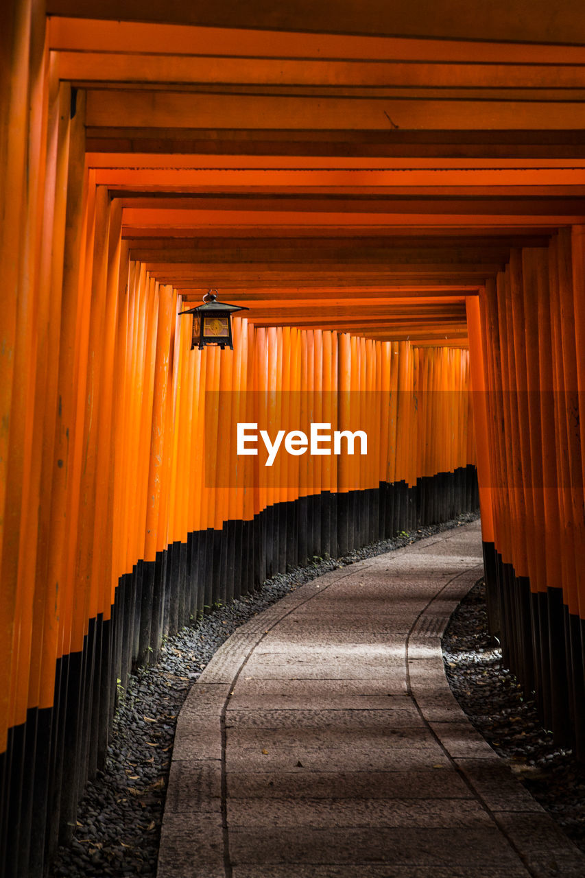 View of fushimi inari kyoto