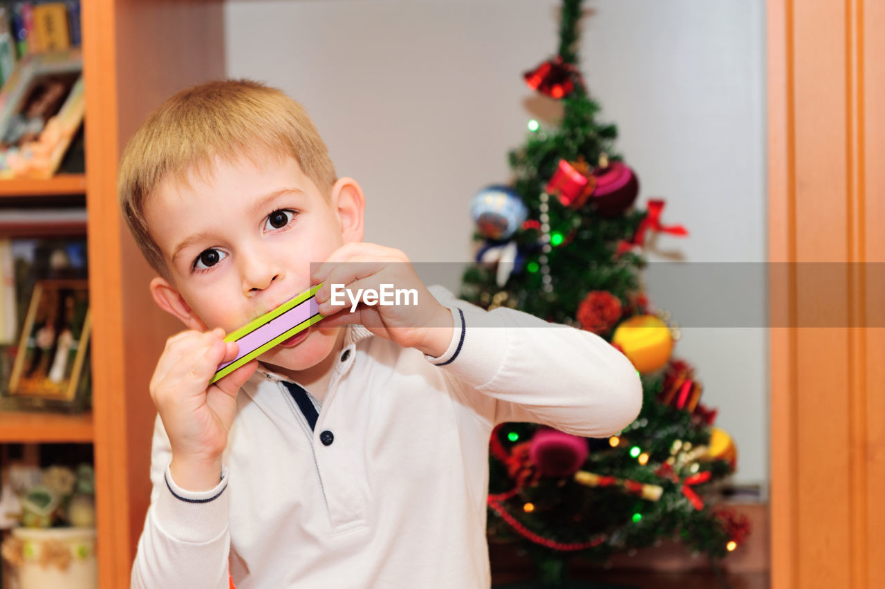 Portrait of boy with christmas tree at home