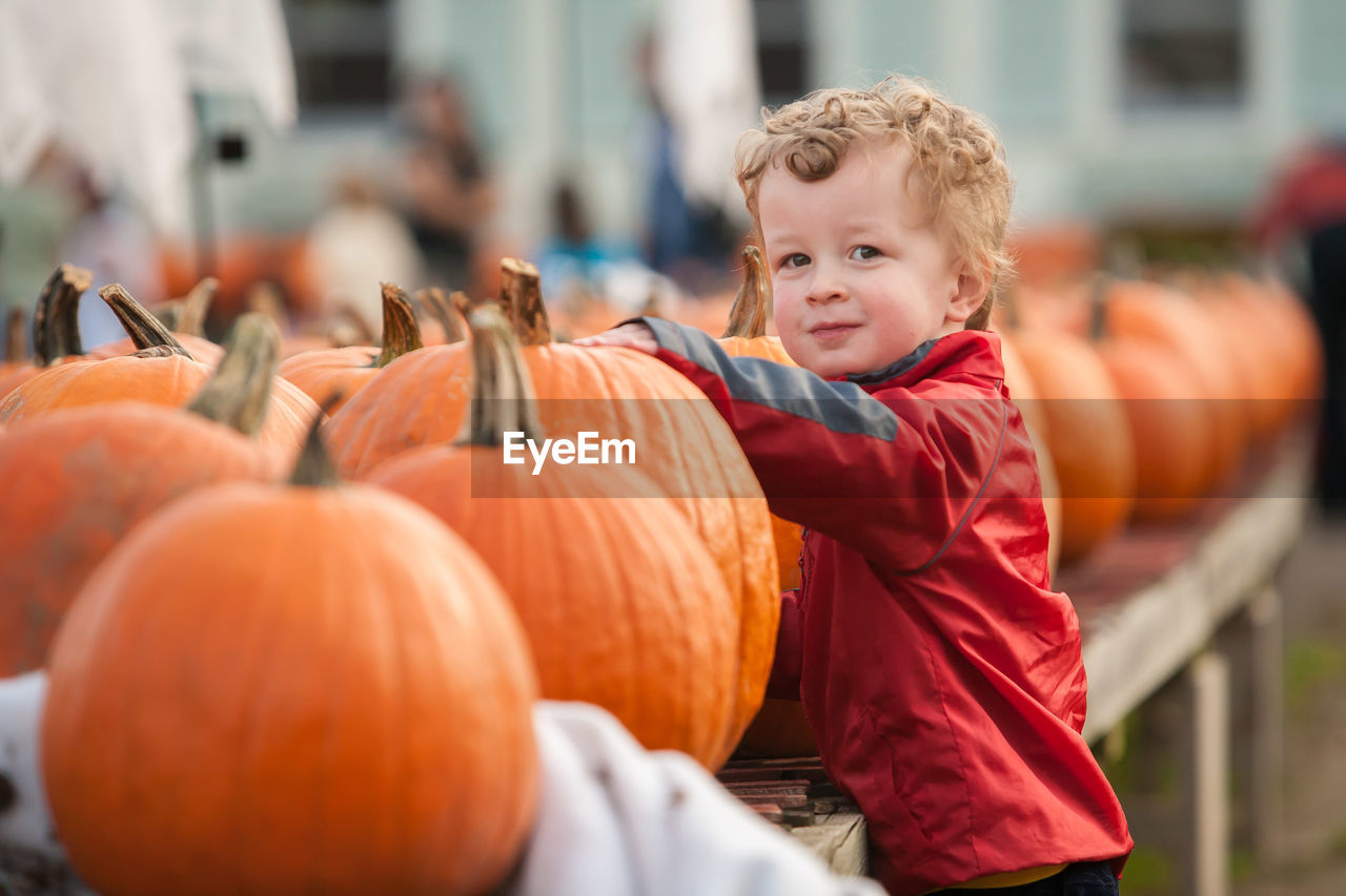 Portrait of boy standing by pumpkins