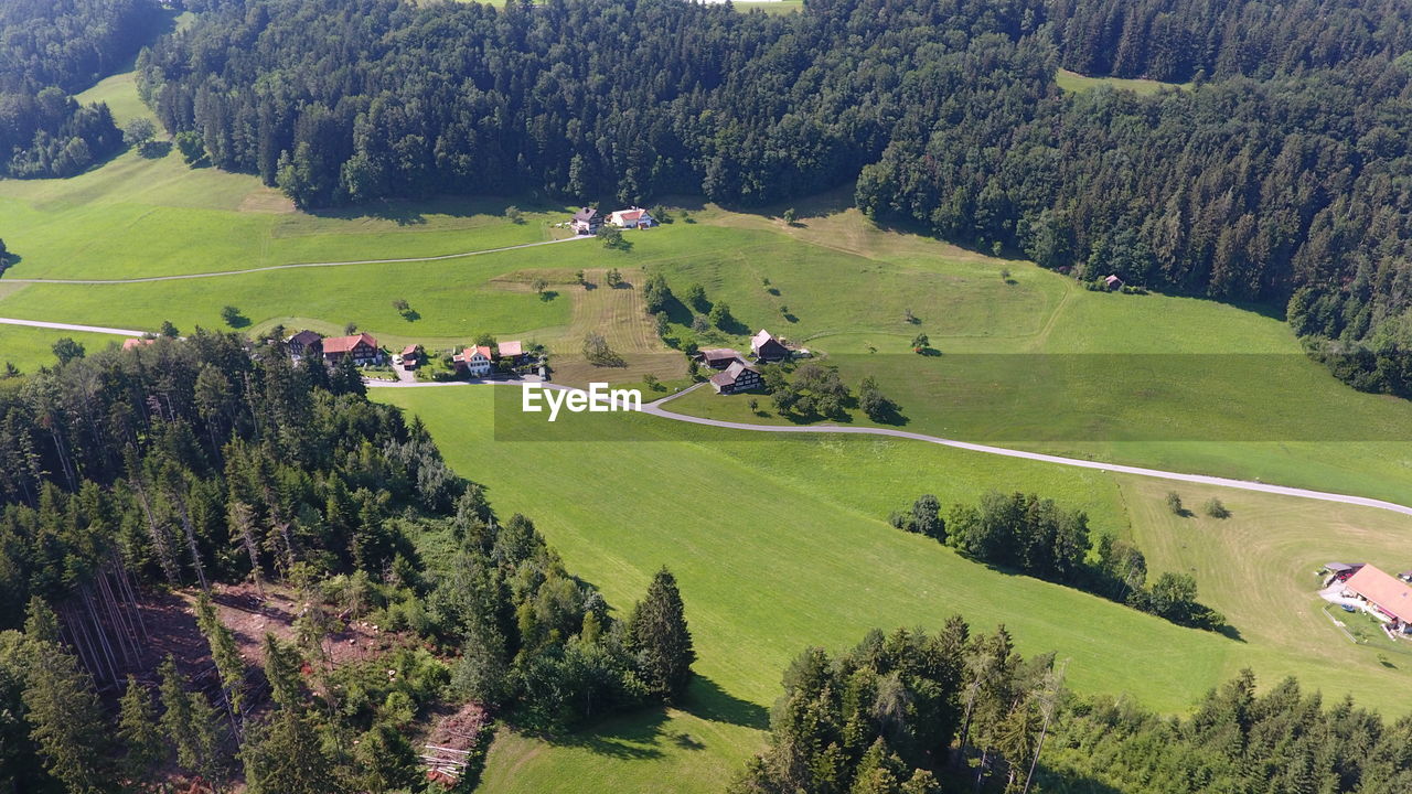 High angle view of trees on landscape