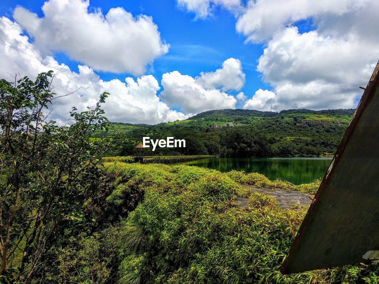 SCENIC VIEW OF LAKE AND TREES AGAINST SKY