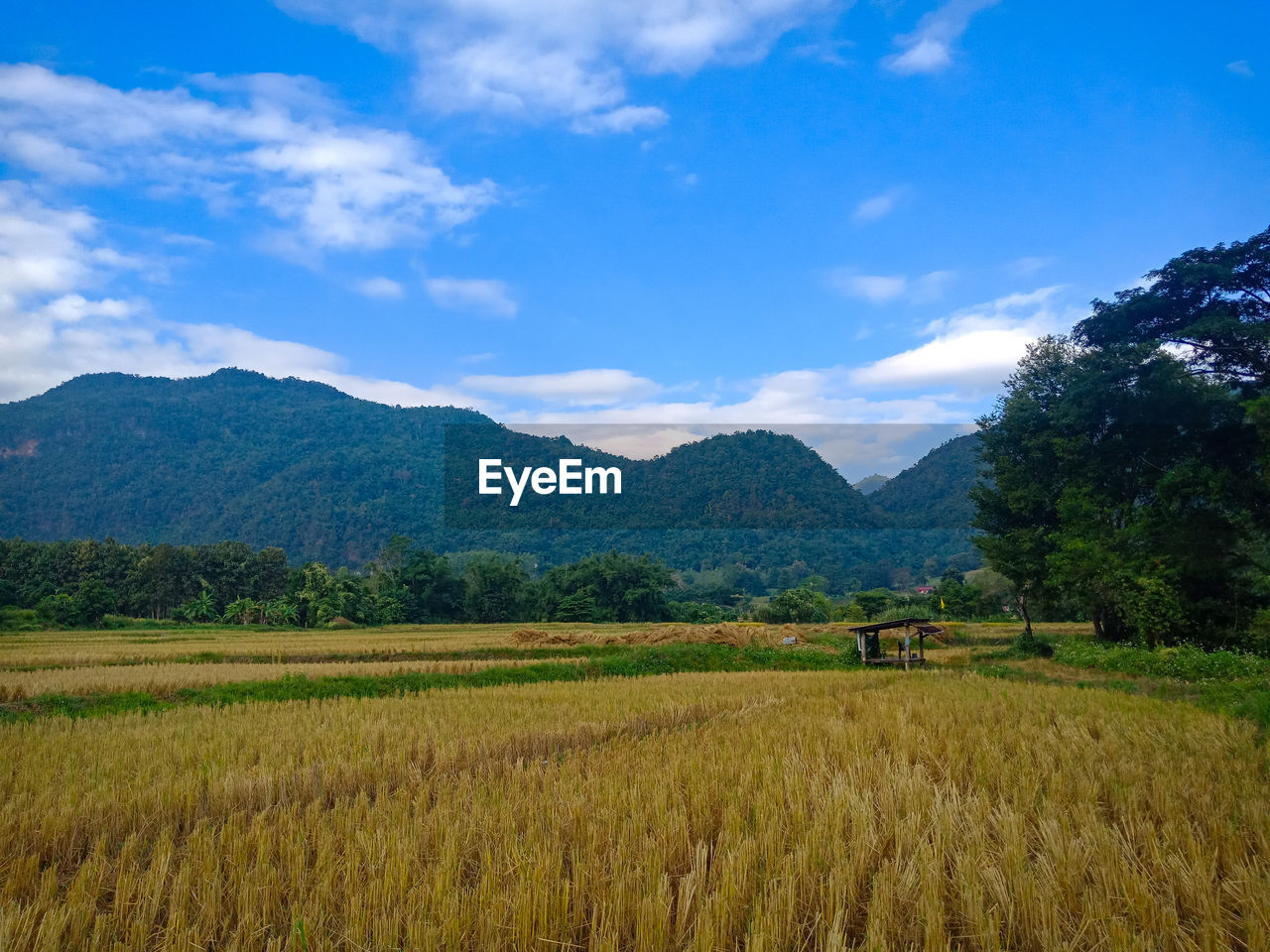 SCENIC VIEW OF FARMS AGAINST SKY