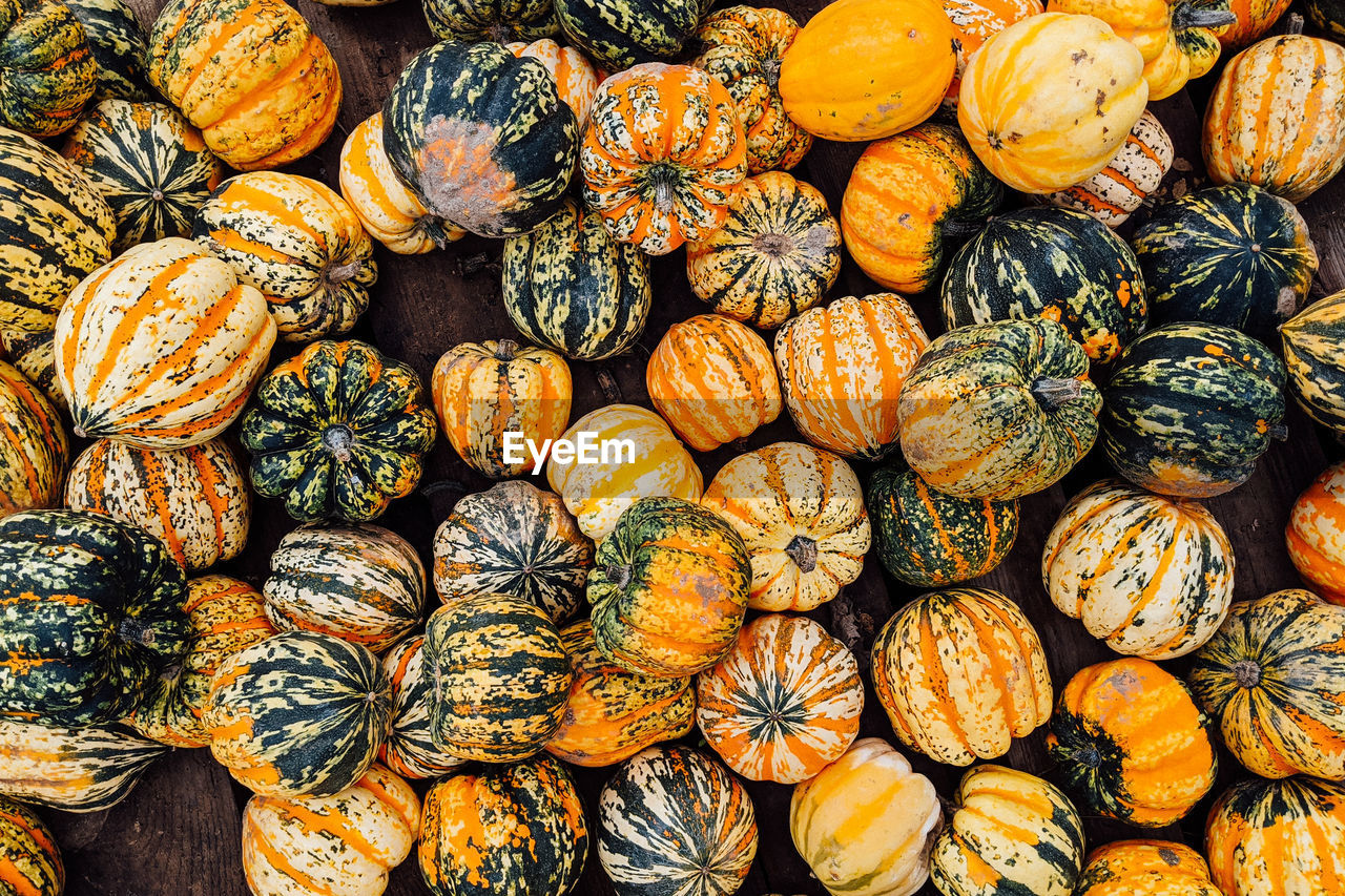 Full frame shot of pumpkins