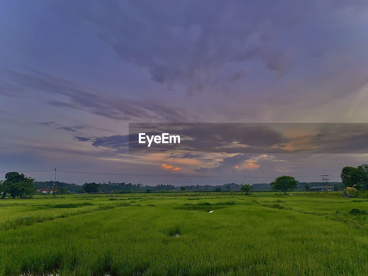 Scenic view of field against sky during sunset