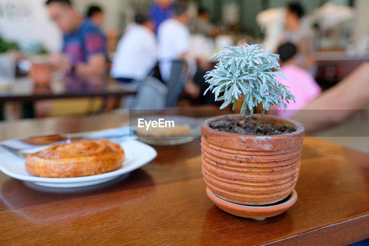 CLOSE-UP OF ICE CREAM SERVED ON TABLE