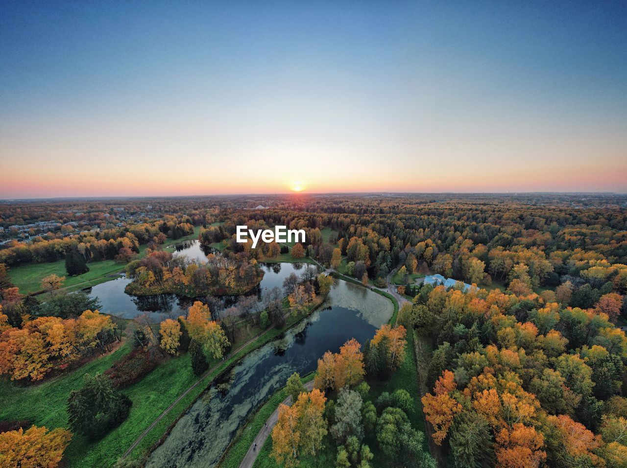 HIGH ANGLE VIEW OF TREES DURING SUNSET