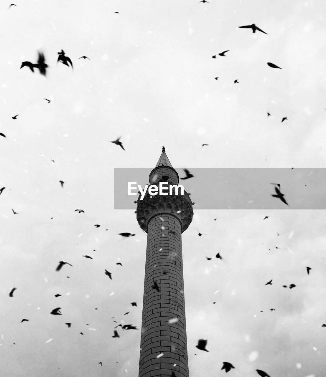 Low angle view of birds flying around tower in sky