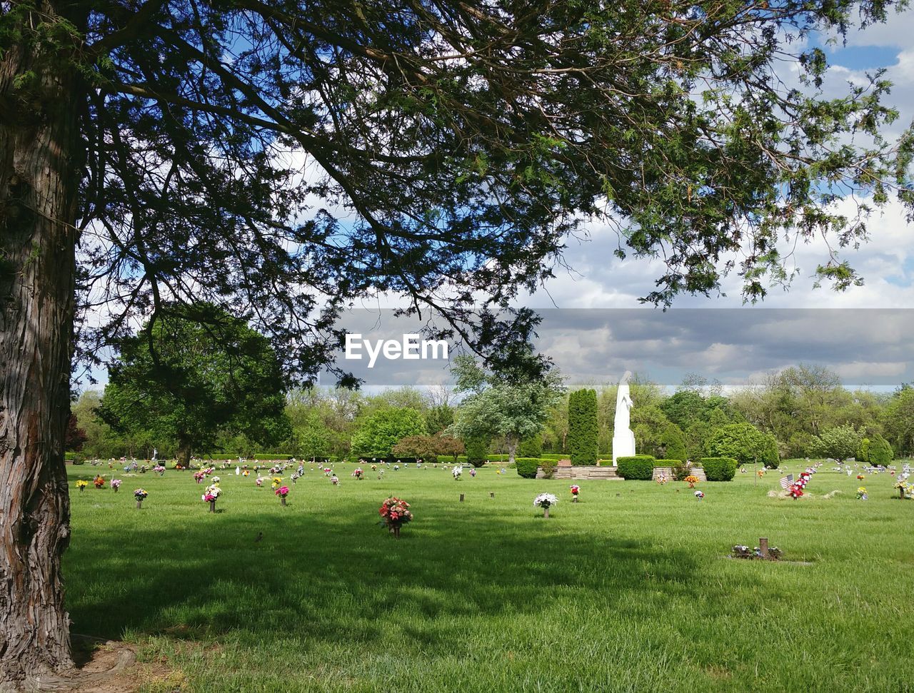 VIEW OF CEMETERY ON FIELD