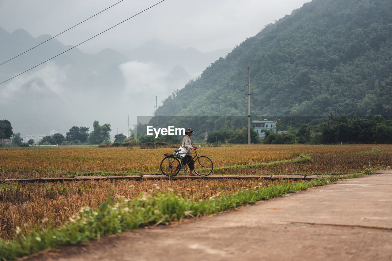 MAN RIDING BICYCLE ON ROAD AMIDST FIELD