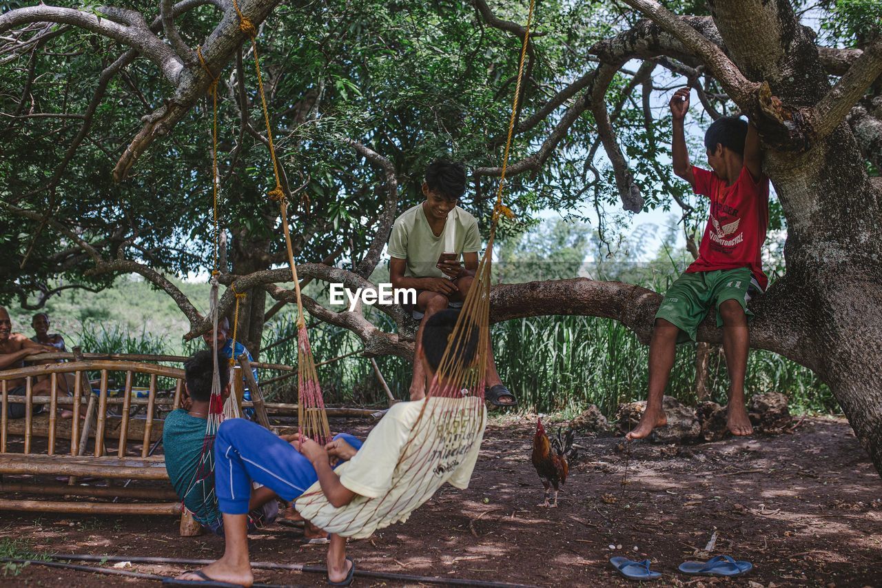 PEOPLE ON TREE TRUNK