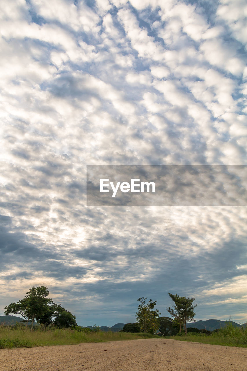 Trees on field against sky