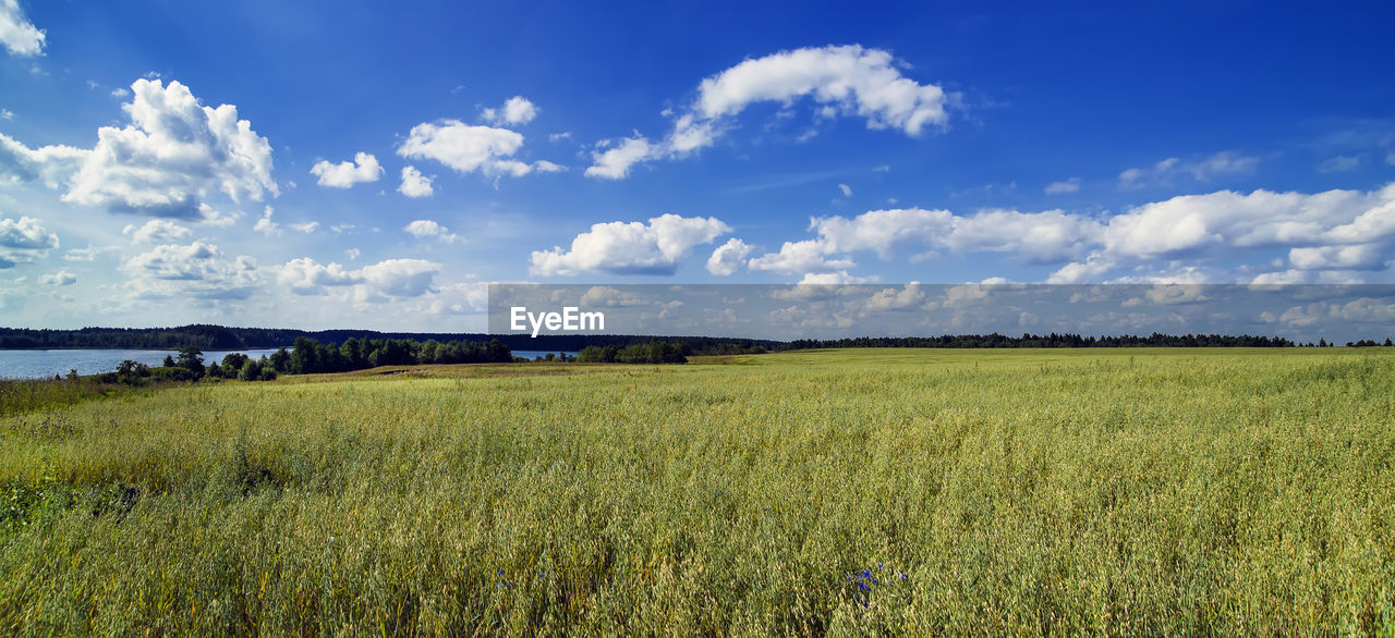 SCENIC VIEW OF FARM AGAINST SKY