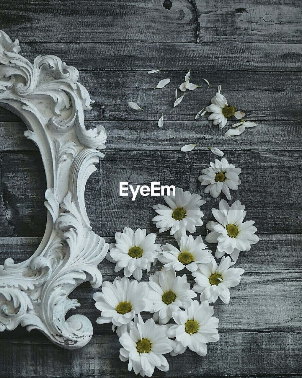 Directly above shot of white flowers by frame on table