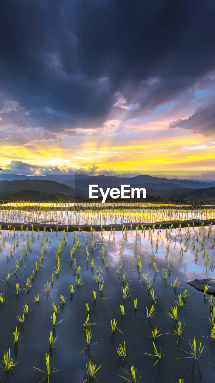 Scenic view of lake against sky during sunset