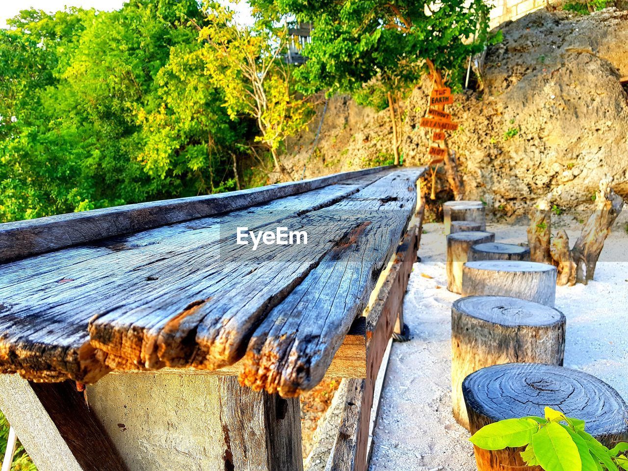 WEATHERED WOODEN WALL IN FOREST